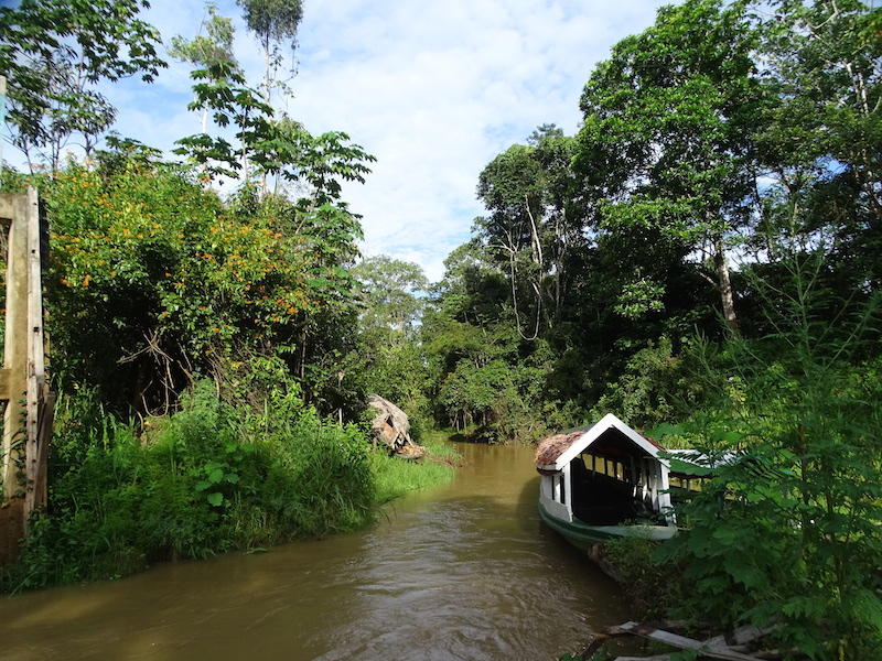 Inca Trail Packages Rainforest