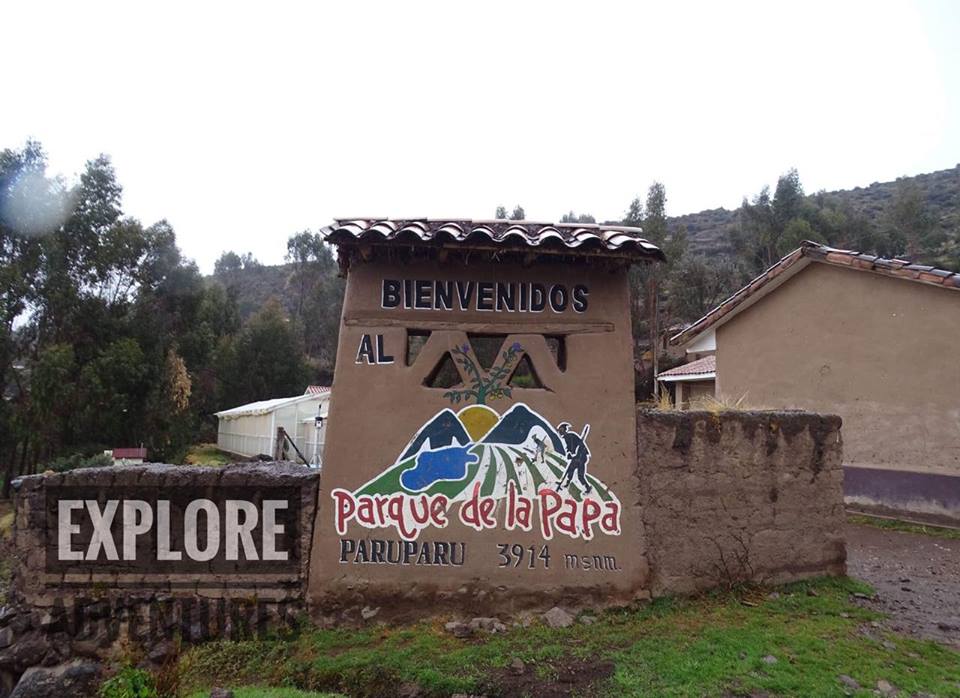 Pisaq Paru Paru homestay