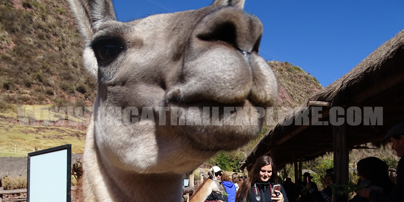 Sacred Valley Private Tours