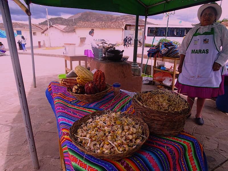 Private tour maras chicha corn beer