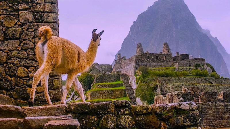 Machu picchu Private tours