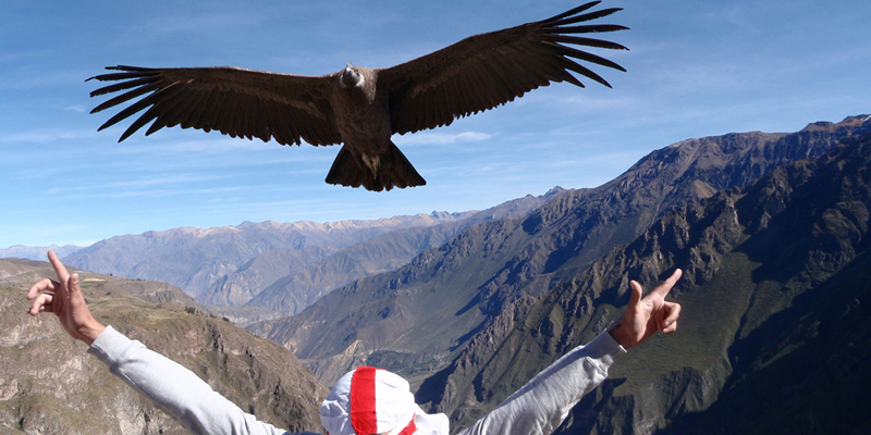 Peru highlights packages 